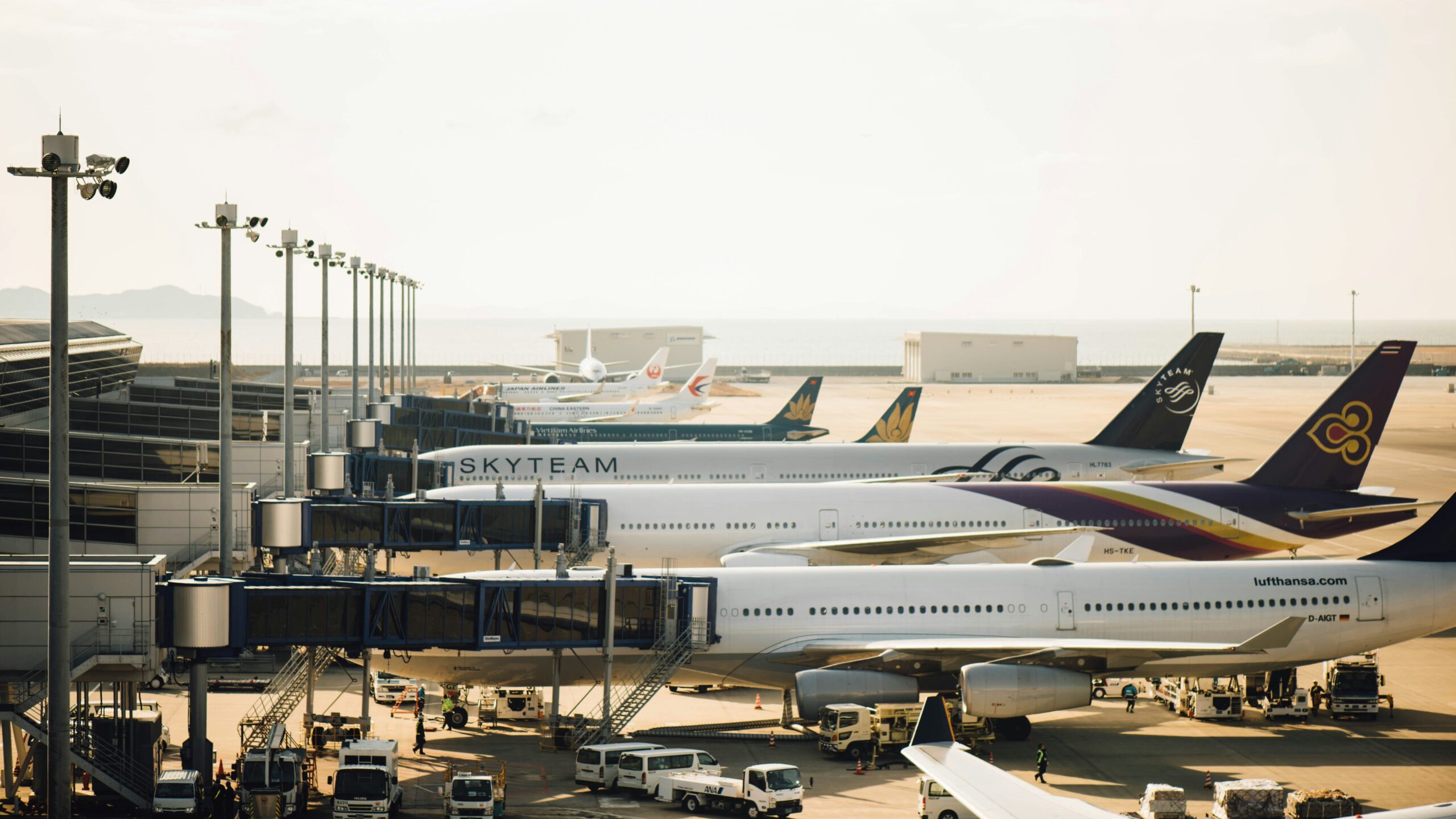 study transport planning career