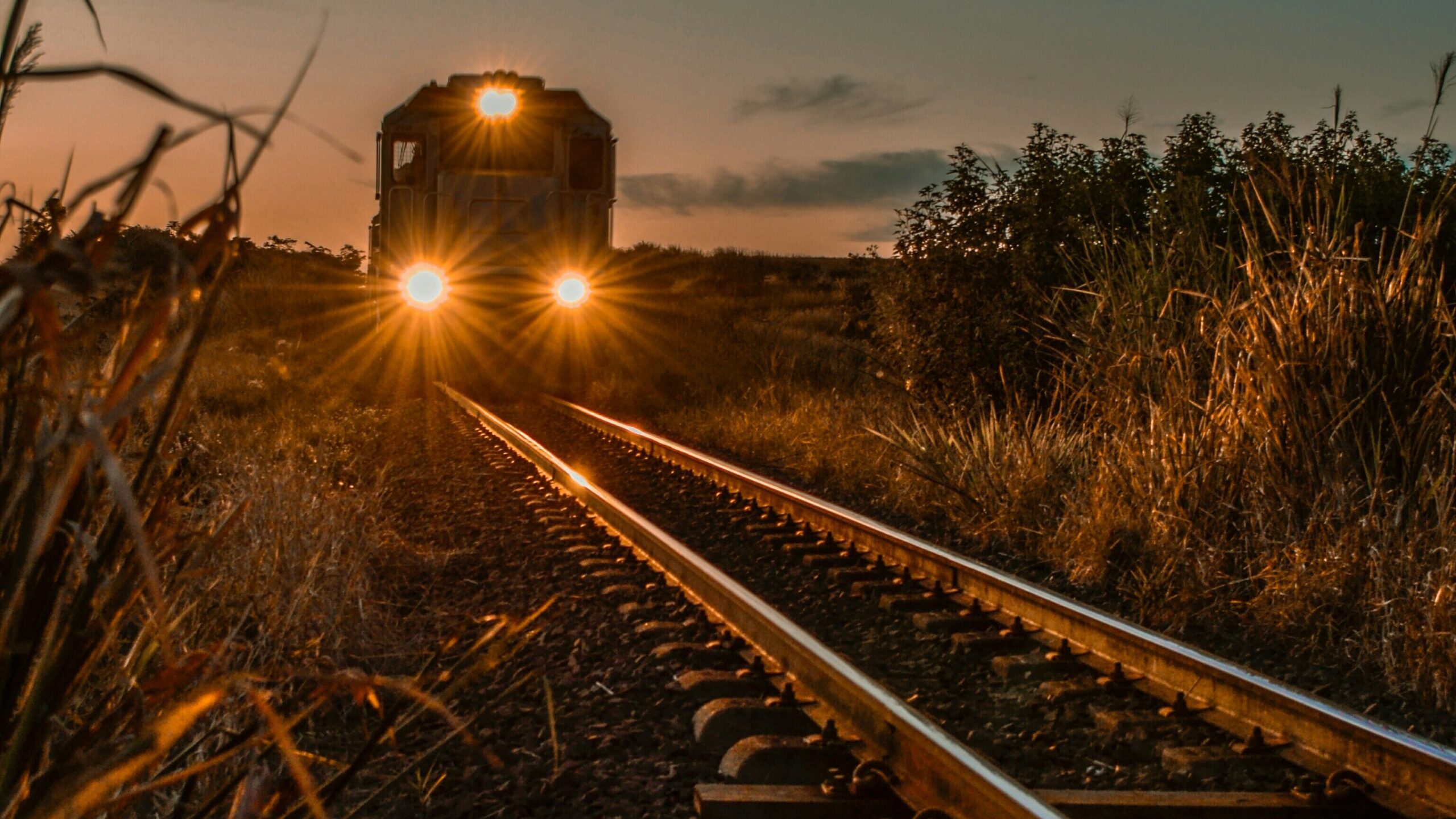 Transport engineering degree