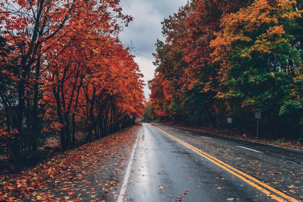 Adapting Road and Rail Networks to Climate Change